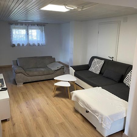 Chaleureux Appartement - Estrade Bollwiller Dış mekan fotoğraf